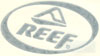 5" Reef Die-cut decal - White